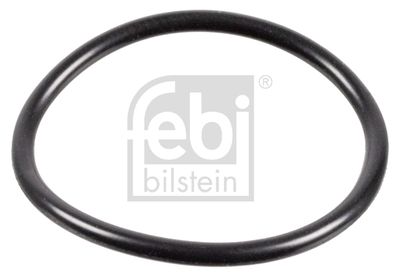 FEBI BILSTEIN 172221 FEBI BILSTEIN 172221
