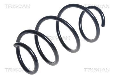 TRISCAN 8750 25133 TRISCAN 8750 25133