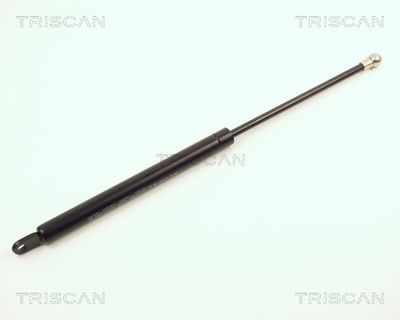 TRISCAN 8710 2002