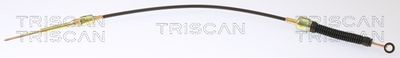 TRISCAN 8140 29761 TRISCAN 8140 29761