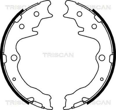 TRISCAN 8100 50003