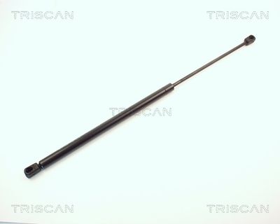 TRISCAN 8710 1610