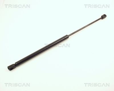 TRISCAN 8710 2429