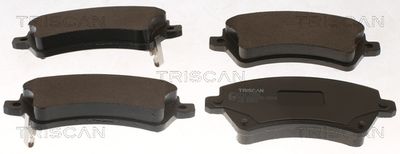 TRISCAN 8110 13058