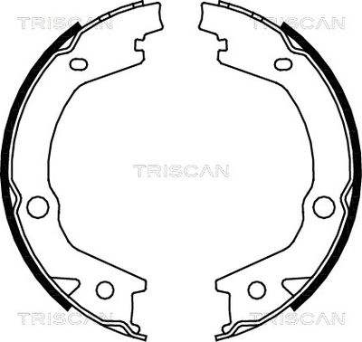 TRISCAN 8100 43020