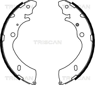 TRISCAN 8100 10033