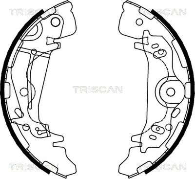 TRISCAN 8100 43017