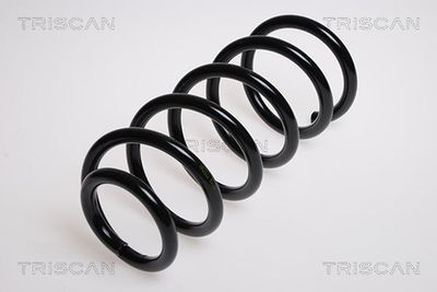 TRISCAN 8750 29067 TRISCAN 8750 29067