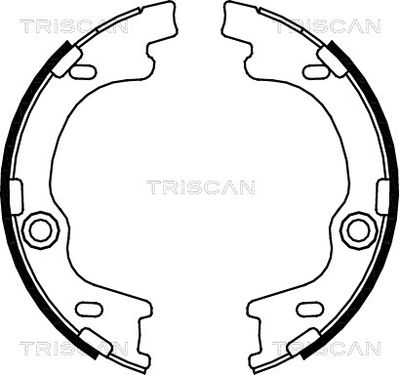 TRISCAN 8100 43021