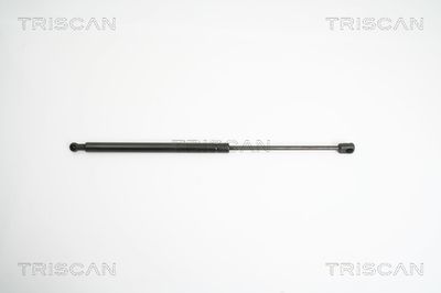 TRISCAN 8710 43224 TRISCAN 8710 43224