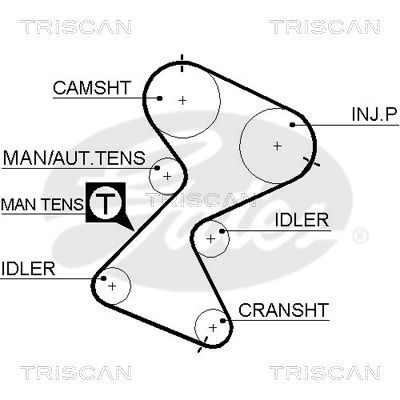 TRISCAN 8645 5561xs