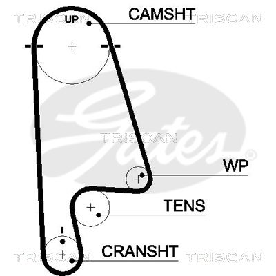 TRISCAN 8645 5480xs