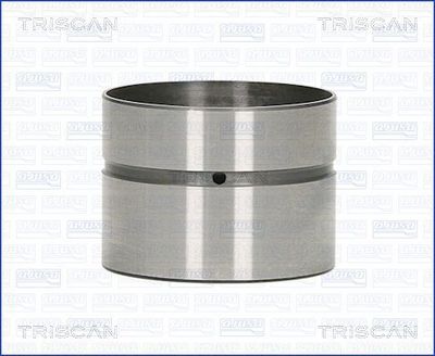 TRISCAN 80-29007