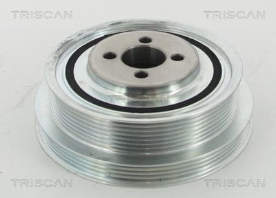 TRISCAN 8643 15009