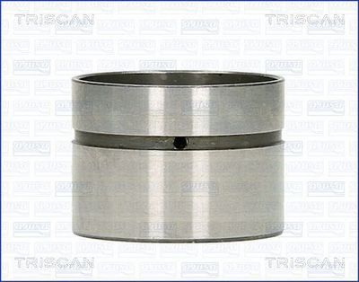 TRISCAN 80-11000