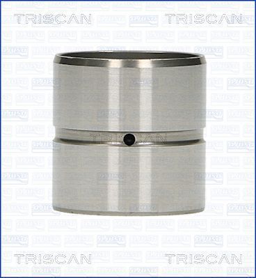 TRISCAN 80-29001