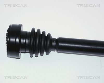 TRISCAN 8540 29600