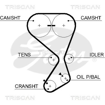 TRISCAN 8645 5556xs