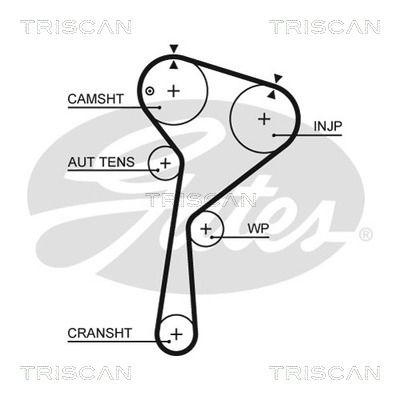 TRISCAN 8645 5675xs