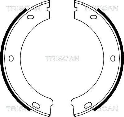 TRISCAN 8100 28522