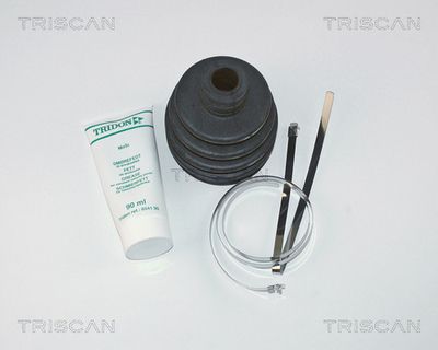 TRISCAN 8540 14806