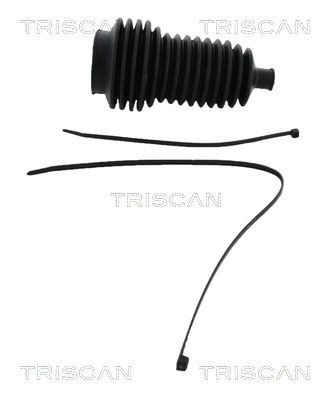 TRISCAN 8500 25010