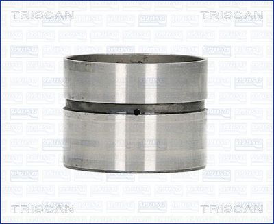 TRISCAN 80-29010