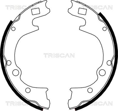 TRISCAN 8100 50604