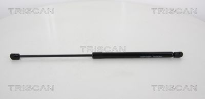 TRISCAN 8710 67216
