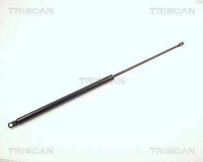 TRISCAN 8710 3801 TRISCAN 8710 3801