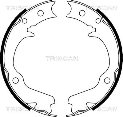 TRISCAN 8100 68001