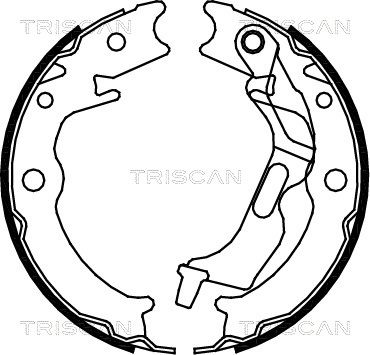 TRISCAN 8100 21001