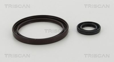 TRISCAN 8550 40001 TRISCAN 8550 40001
