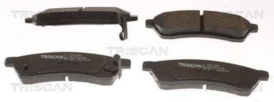 TRISCAN 8110 21012