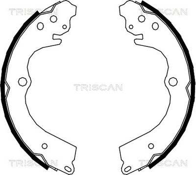 TRISCAN 8100 68005