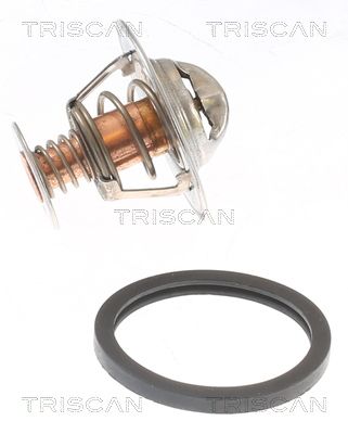 TRISCAN 8620 13289