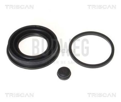 TRISCAN 8170 189931