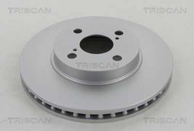 TRISCAN 8120 13169C