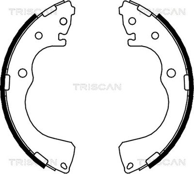 TRISCAN 8100 50001