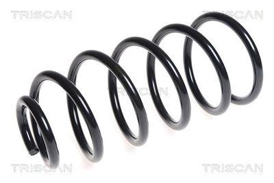 TRISCAN 8750 29381 TRISCAN 8750 29381