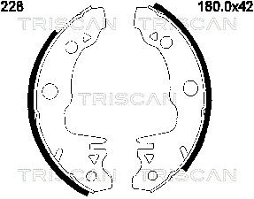 TRISCAN 8100 10228