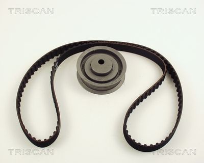 TRISCAN 8647 29009