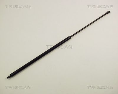TRISCAN 8710 1004