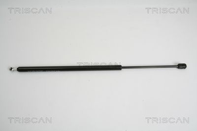 TRISCAN 8710 38224 TRISCAN 8710 38224