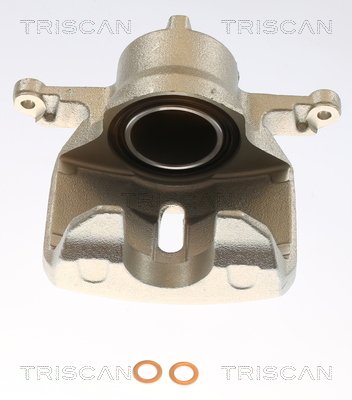 TRISCAN 8175 50113