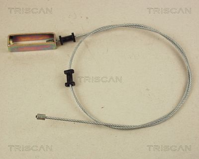 TRISCAN 8140 14101 TRISCAN 8140 14101