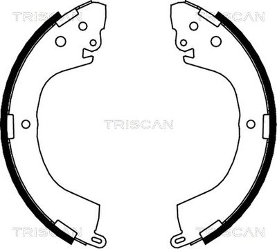TRISCAN 8100 42605
