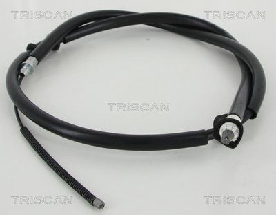 TRISCAN 8140 10161