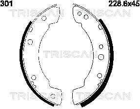TRISCAN 8100 10301