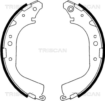 TRISCAN 8100 10425